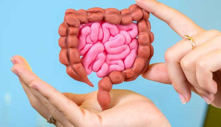 10 Natural Remedies To Improve Gut Health