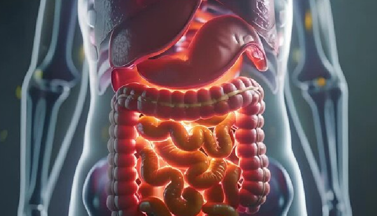 12 Effective Home Remedies To Improve Gut Health