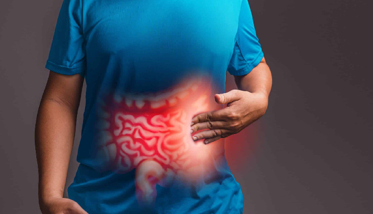 psyllium husk health benefits,isabgol,benefits of psyllium husk,dietary fiber,digestive health,natural laxative,heart health,cholesterol control,weight management,blood sugar regulation,prebiotic,detoxification,skin health,hemorrhoid relief