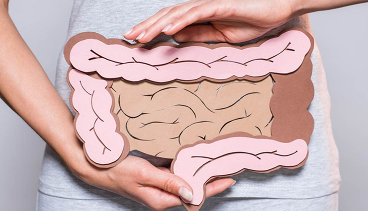 pear,pear health benefits,healthy living,Health tips,pear health tips