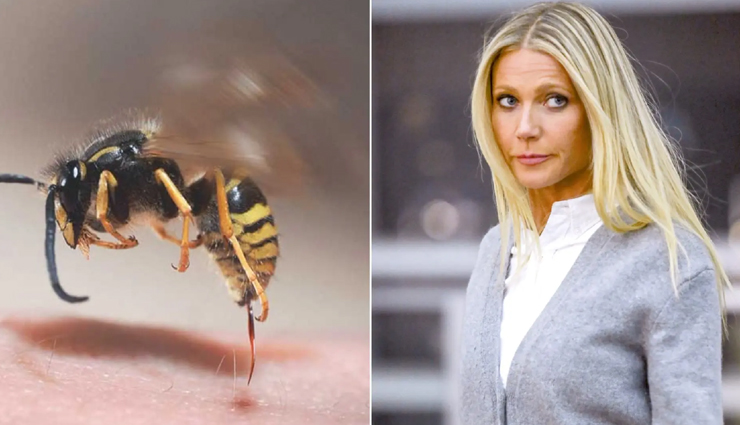 weird news,weird incident,hollywood actress gwyneth paltrow,gwyneth paltrow apitherapy