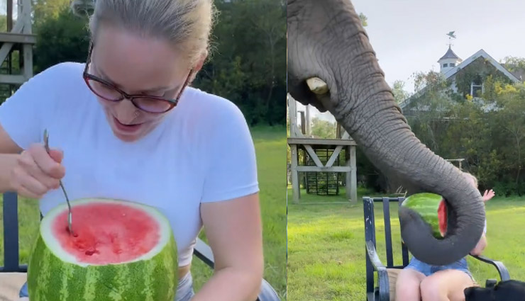 OMG! अपनी भूख मिटाने के लिए जब जंगली हाथी ने महिला पर किया अटैक, वीडियो में देखे फिर क्या हुआ...