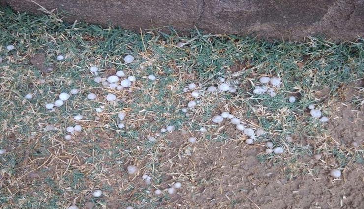 नागौर : मौसम के बदलते मिजाज ने पहुंचाया फसलों को नुकसान, जारी हुआ घने कोहरे का यलो अलर्ट