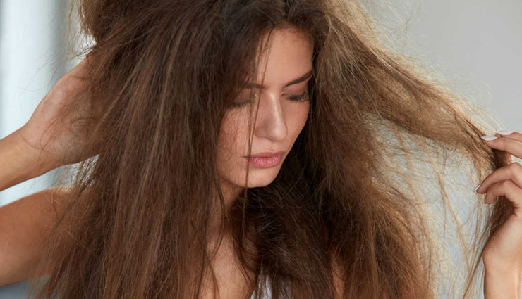 drinking milk,drinking milk regularly,health benefits of drinking milk regularly,milk benefits,milk health benefits,healthy food milk,Health,Health tips