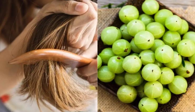 beauty tips,beauty tips in hindi,home remedies,split ends hair remedies,hair care tips