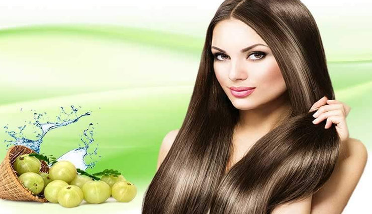 hair care tips from amla oil,beauty tips,tips to care hair,hair care tips ,आवंला तेल बालो के लिए,ब्यूटी,ब्यूटी टिप्स