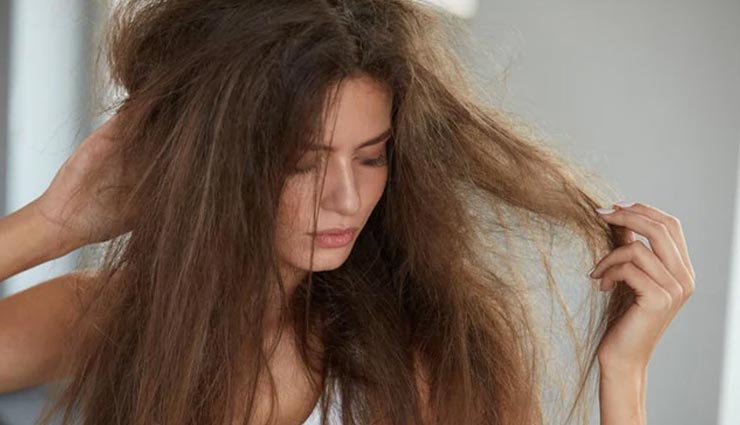 hair breakage,home remedies for hair breakage,hair care tips,beauty tips