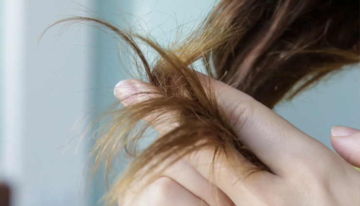 बालों के पतले होने से हैं परेशान, ग्रोथ बढ़ाने में मदद करेगी ये 10 जड़ी-बूटियां