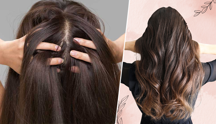 diy amla hair treatments,amla for hair growth,home remedies for healthy hair,amla oil benefits for hair,natural hair care with amla,amla hair mask,reduce dandruff with amla,prevent premature graying with amla,strengthen hair with amla,amla hair pack recipes