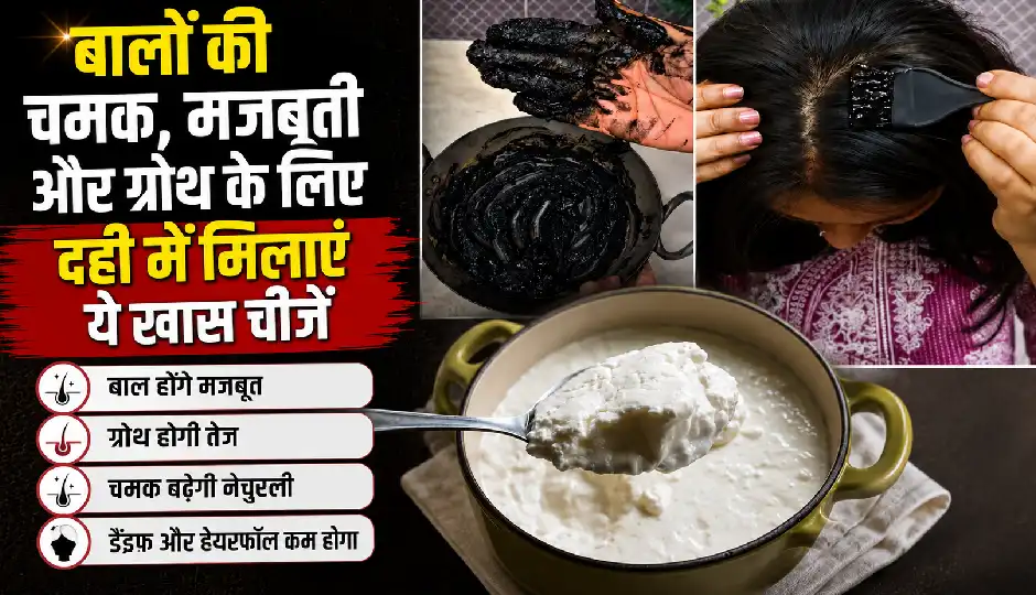 सफेद बालों और हेयरफॉल से हैं परेशान? दही में मिलाकर लगाएं ये नेचुरल हेयर पैक