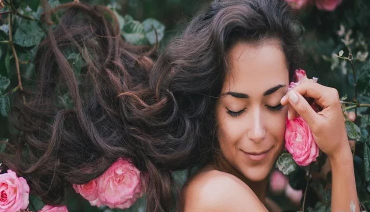 beauty tips,beauty tips in hindi,beauty by ginger,beauty benefits of ginger,skin care tips,beautiful face