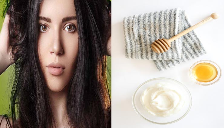 beauty tips,beauty tips in hindi,hair care tips,homemade conditioner,dry hair tips