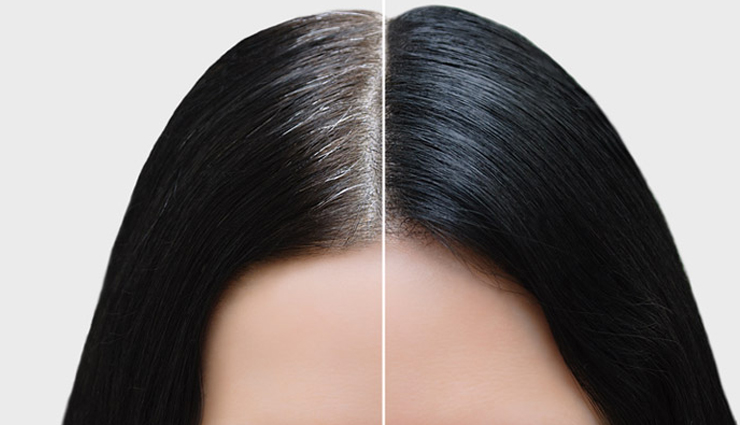 ways to increase hair density,hair care tips,beauty tips