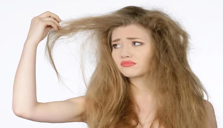 बालों का रूखापन होगा दूर, शैंपू से पहले लगाएं ये चीजें