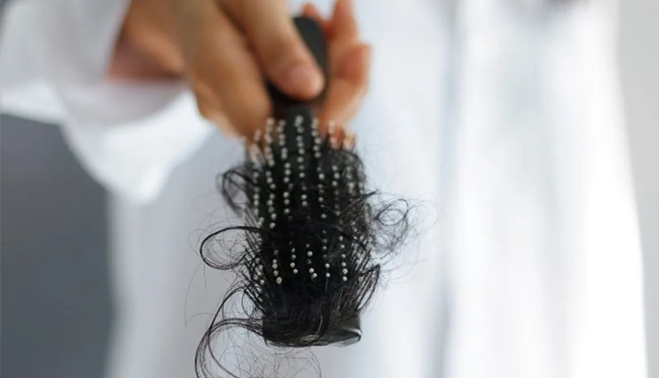 brahmi powder for hair,benefits of brahmi powder for hair,brahmi powder,brahmi powder benefits,hair,hari care,hair  care tips,beauty,beauty tips