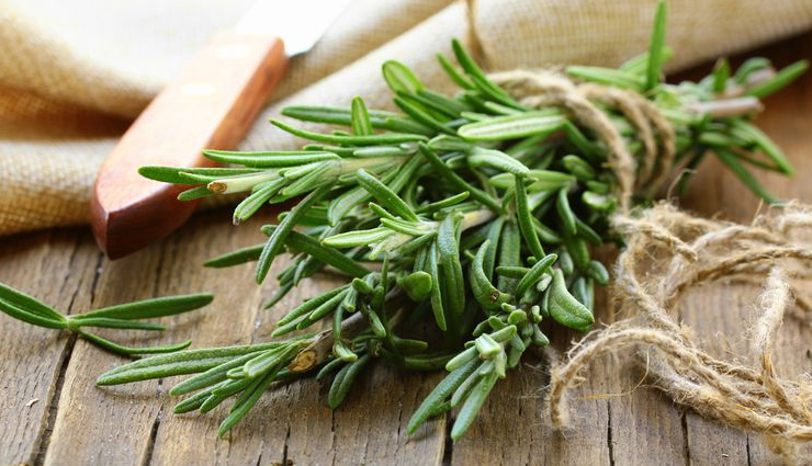 aloe vera,rosemary,hibiscus,indian gooseberry,neem,lavender,peppermint,sage,holy basil,herbs,herbs to treat hair loss,hair loss tips,hair care tips,beauty tips