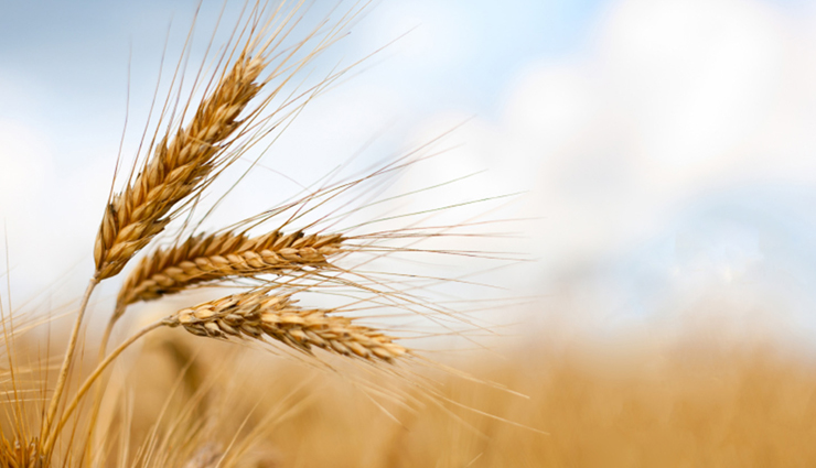 hair fall,natural tips for hair fall,skin care tips,hair care tips,beauty tips