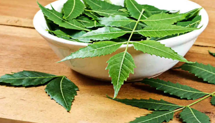 hair fall,natural ways to control hair fall,hair care tips,beauty tips