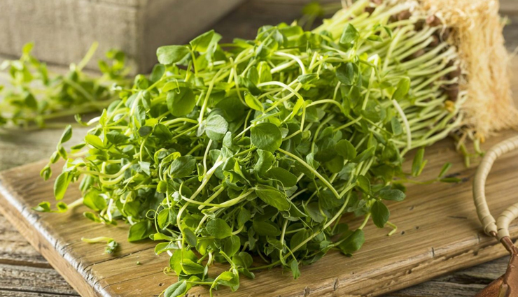 hair fall,natural tips for hair fall,skin care tips,hair care tips,beauty tips