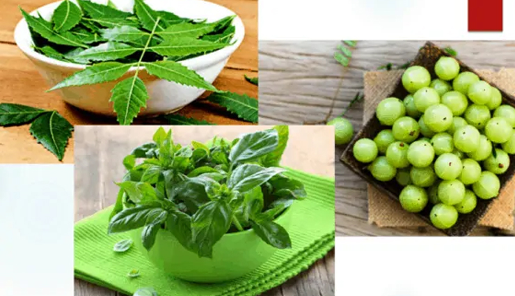 coconut milk,aloe vera,hot oil hair massage,neem & amla,egg or yoghurt,licorice root,effective home remedies,effective home remedies for hair fall,hair fall tips,hair care tips,beauty tips,monsoon beauty tips