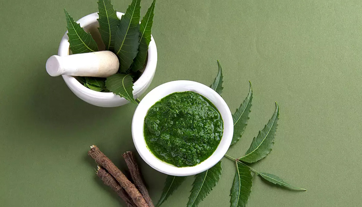 aloe vera,rosemary,hibiscus,indian gooseberry,neem,lavender,peppermint,sage,holy basil,herbs,herbs to treat hair loss,hair loss tips,hair care tips,beauty tips