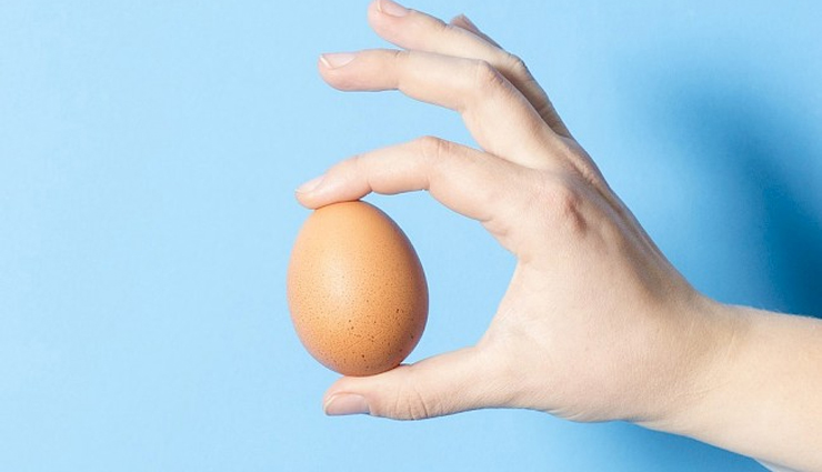 coconut milk,aloe vera,hot oil hair massage,neem & amla,egg or yoghurt,licorice root,effective home remedies,effective home remedies for hair fall,hair fall tips,hair care tips,beauty tips,monsoon beauty tips