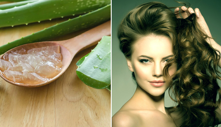 10 Different Ways To Use Aloe Vera Gel For Quick Hair Growth