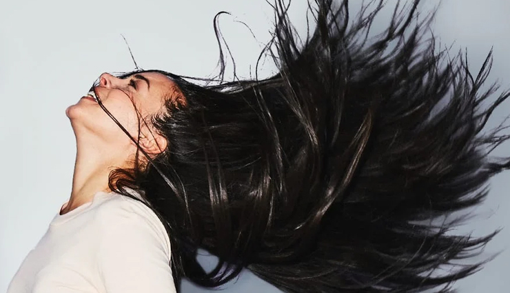 5 Foods That Help in Hair Growth