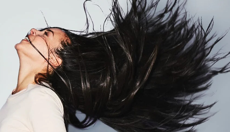 5 Foods That Help in Hair Growth
