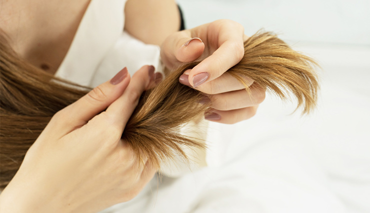 aloe vera,how to use aloe vera for hair growth,how do you use aloe vera for hair growth,benefits of aloe vera for hair,aloe vera oil for long and healthy hair,aloe vera oil for hair,aloe vera for hair mask,aloe vera for hair growth reviews,aloe vera for hair growth home remedies