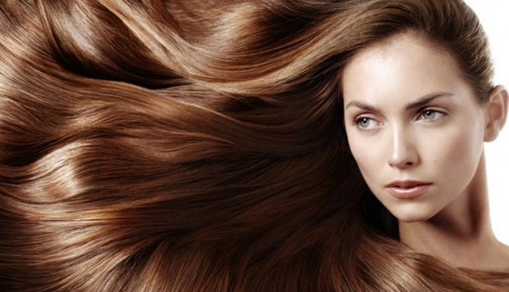 6 Herbs That Will Help You in Quick Hair Growth