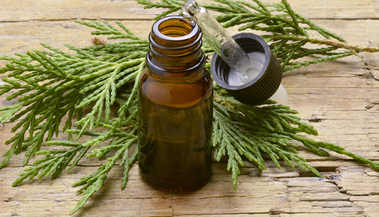 essential oils,essential oils for hair growth,hair care tips,beauty tips