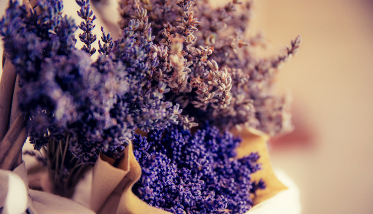 herbs that will help you in quick hair growth,beauty tips,beauty hacks