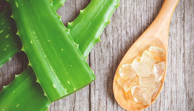 chinese hibiscus,coat buttons or tridax daisy,aloe vera,basil,gooseberry,remedies for hair loss,herbs to treat hair loss,hair loss tips,hair care tips,beauty tips