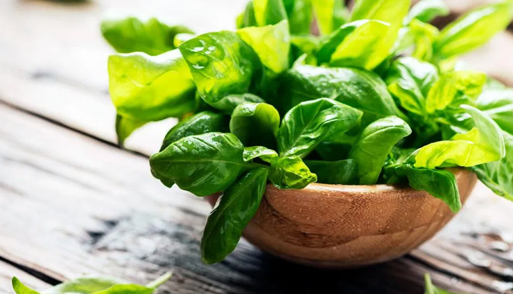 chinese hibiscus,coat buttons or tridax daisy,aloe vera,basil,gooseberry,remedies for hair loss,herbs to treat hair loss,hair loss tips,hair care tips,beauty tips