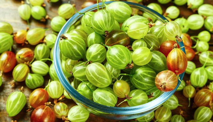 chinese hibiscus,coat buttons or tridax daisy,aloe vera,basil,gooseberry,remedies for hair loss,herbs to treat hair loss,hair loss tips,hair care tips,beauty tips