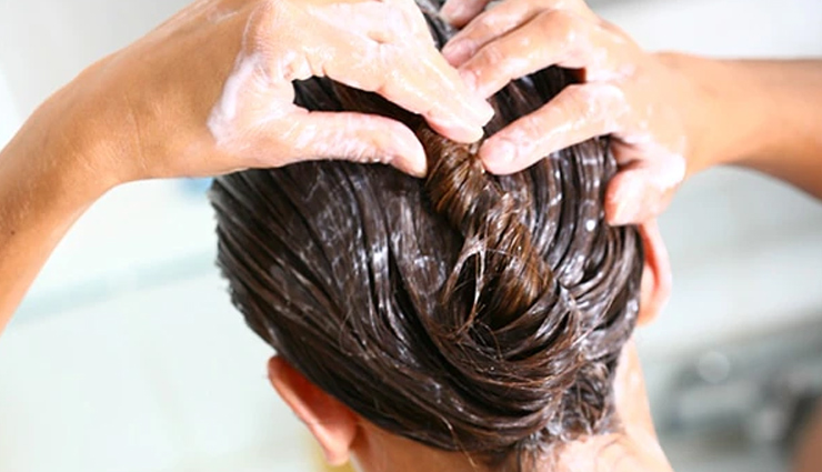 hair care tips,hair beauty,walnut shells for premature  grey hair