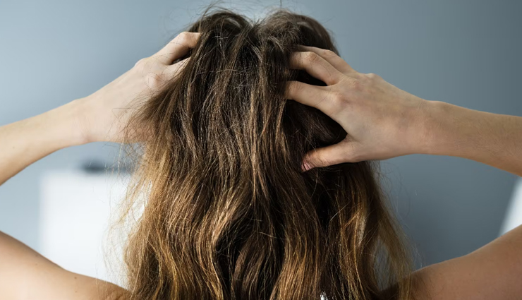 अपने गुणों के चलते फलों का राजा है आम, इसके खाने से शरीर को होता फायदा mango health benefits,benefits of eating mango,nutritional value of mango,mango and immune system,mango for digestion,mango benefits for skin,mango for weight loss