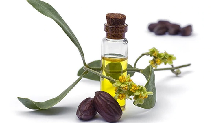 coconut oil,argan oil,jojoba oil,almond oil,Olive Oil,types of hair oil,different hair oil to treat hair problem,hair care tips,beauty tips
