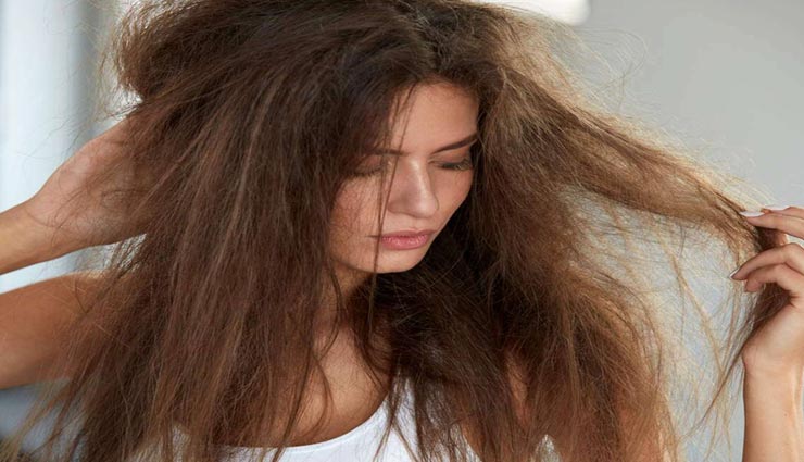 इन 4 घरेलू नुस्खों से दूर करें बालों की समस्याएं, इस्तेमाल करना बेहद आसान 