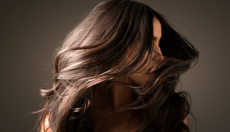 6 Foods That Promote Hair Growth