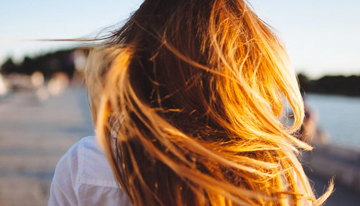 lavender essential oil benefits for hair,using lavender oil for hair health,lavender oil effects on hair,hair care with lavender essential oil,natural hair treatments with lavender oil,lavender oil for stronger hair,promoting hair growth with lavender oil,lavender oil in hair care routines,aromatherapy benefits for hair using lavender oil,nourishing hair with lavender essential oil,scalp health and lavender oil,lavender oil diy hair treatments,enhancing hair beauty with lavender oil,lavender oil for hair rejuvenation,traditional use of lavender oil for hair care