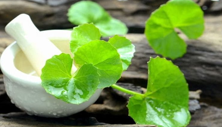 tips for promoting hair growth,natural ways to stimulate hair growth,how to increase hair growth naturally,best foods for hair growth,vitamins and supplements for hair growth,hair growth remedies at home,effective ways to grow hair faster,lifestyle changes for better hair growth,hair growth techniques for thicker hair,home remedies for hair growth,how to strengthen hair roots,hair growth tips for healthy hair,natural ingredients for hair growth,hair growth secrets for women,how to promote hair growth naturally,daily habits for faster hair growth,scalp care tips for hair growth,essential oils for hair growth,how to improve hair thickness,effective hair growth tips and tricks,proven methods to boost hair growth,hair care routine for hair growth,diet tips for healthy hair growth,nutrient-rich foods for hair growth,hair growth treatments you can try at home,how to grow long hair naturally,best practices for hair growth,hair growth strategies for men and women,ways to reduce hair loss and promote growth,holistic approaches to hair growth,herbal remedies for hair growth,quick tips for better hair growth,natural hair growth enhancers,how to grow thicker,healthier hair,hair growth accelerators,natural ways to grow hair longer,hair growth myths and truths,how to boost hair growth with diet,best practices for scalp health and hair growth,daily routine for enhancing hair growth,holistic hair growth methods,proven tips for faster hair growth,simple tips for hair regrowth,natural hair growth support,hair growth and hair care tips,daily habits for promoting hair growth,hair growth boosters,healthy hair growth tips,tips to grow hair faster naturally,hair growth tips and techniques