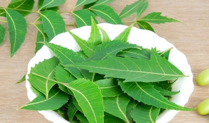 try these home remedies to get rid of dandruff problem,beauty tips,beauty hacks