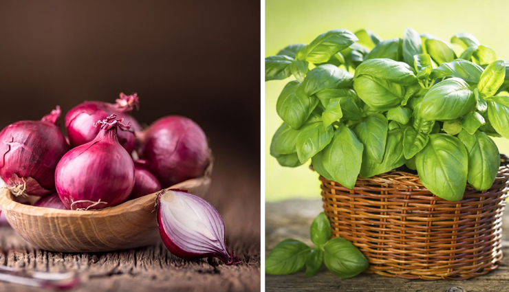 abdominal hair removal,diy hair removal,home remedies for hair removal,belly button hair removal,natural hair removal methods,beauty hacks for hair removal,effective remedies for abdominal hair,at-home hair removal techniques,beauty tips for removing abdominal hair