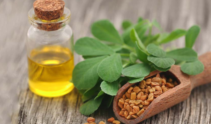 बालों की सेहत के लिए जरूरी हैं उनकी सही देखभाल, रात में सोने से पहले लगाएं ये चीजें proper care is necessary for hair health apply these things before sleeping at night,beauty tips,beauty hacks