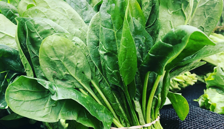 रूखे बेजान बालों से हैं परेशान, अपनी डाइट में शामिल करें ये फ़ूड, बनेंगे मजबूत और चमकदार troubled by dry lifeless hair include these food items in your diet hair will become strong and shiny,beauty tips,beauty hacks