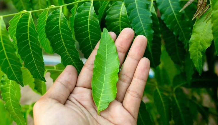 home remedies for hair fall,natural remedies for hair loss,how to control hair fall at home,best home treatments for hair fall,diy hair fall solutions,herbal remedies for hair fall,hair regrowth home remedies,stop hair fall naturally,ayurvedic remedies for hair loss,effective ways to reduce hair fall