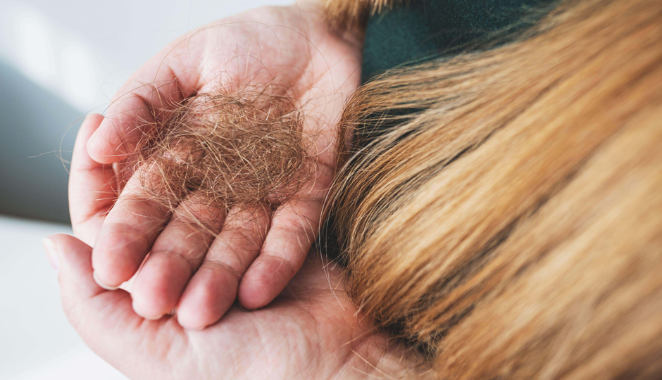 10 DIY Ways To Treat Hair Fall During Winters