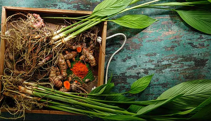 seasonal vegetable,seasonal vegetable for good health,Health,healthy vegetable,Health tips,healthy living